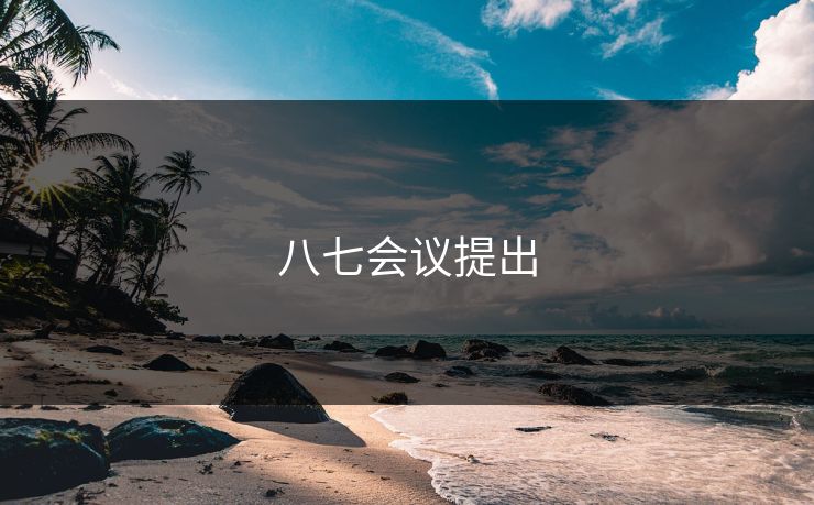 八七会议提出
