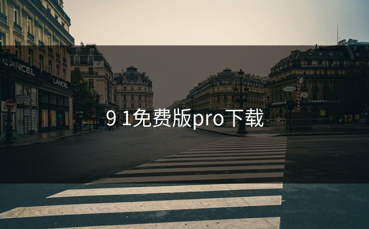 9 1免费版pro下载