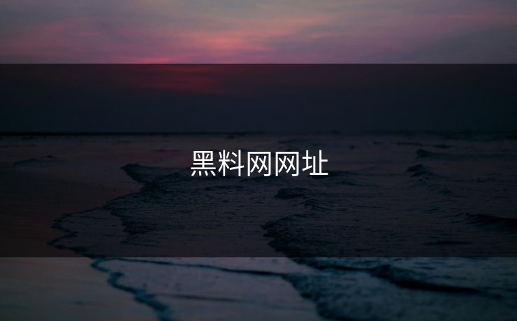 黑料网网址