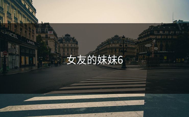 女友的妺妺6