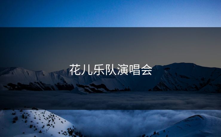 花儿乐队演唱会