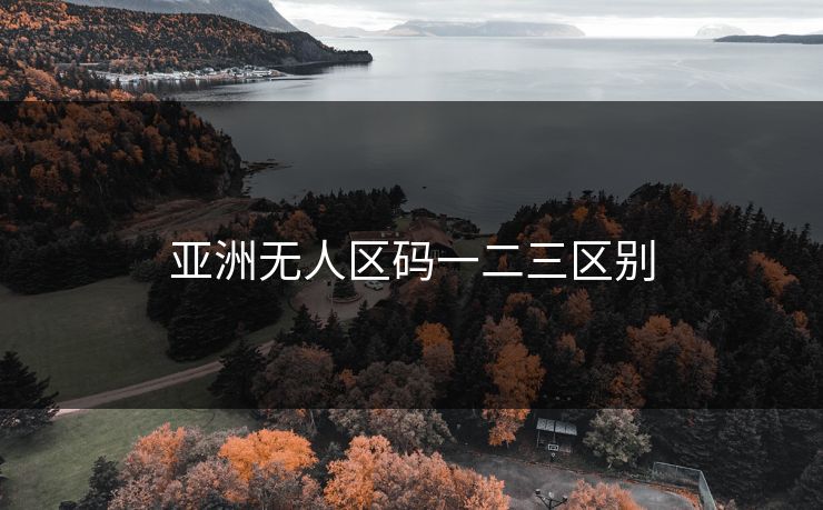 亚洲无人区码一二三区别