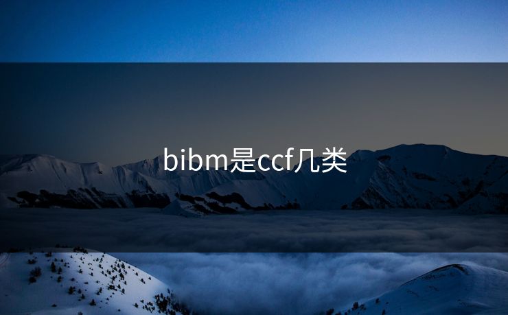 bibm是ccf几类 bibm是ccf几类