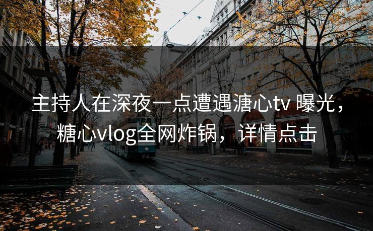 主持人在深夜一点遭遇溏心tv 曝光，糖心vlog全网炸锅，详情点击