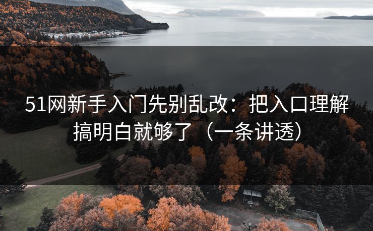 51网新手入门先别乱改：把入口理解搞明白就够了（一条讲透）