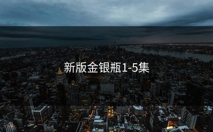 新版金银瓶1-5集