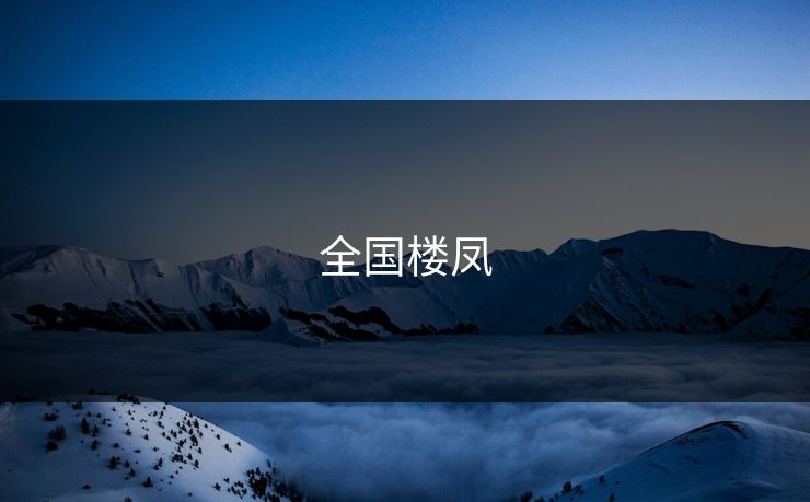 全国楼凤